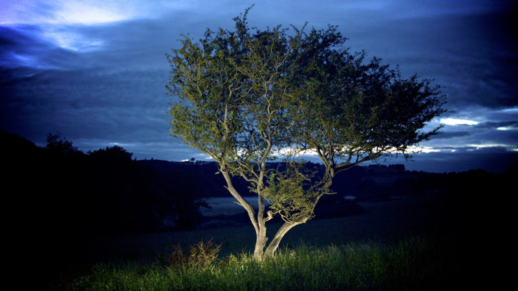 David Ian Bickley ‘Threads’