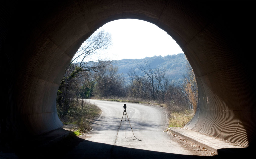 Critique: ‘Over Nature’