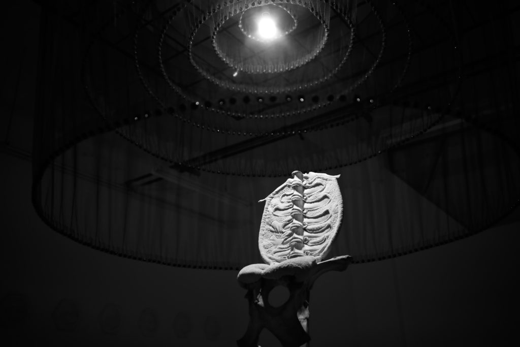 Critique: Sarah Lewtas ‘Dearest, Someone Was Asking for You’