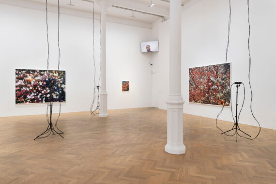 Virtual Exhibitions: How Should Participation Feel?