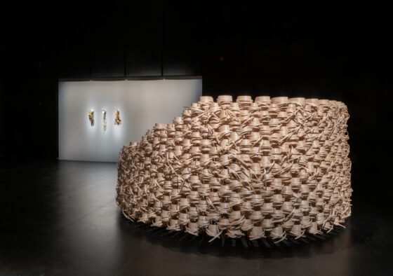 Organisation Profile | Solas Nua