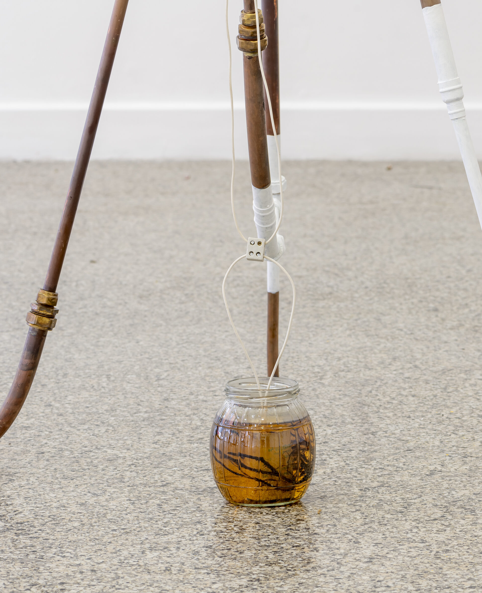 Katherine Sankey, EarthLab, 2023, plumbing, found branches, electric components, glass, water, emulsion paint, earth gong sound; photograph by Louis Haugh, courtesy of the artist and The LAB Gallery.