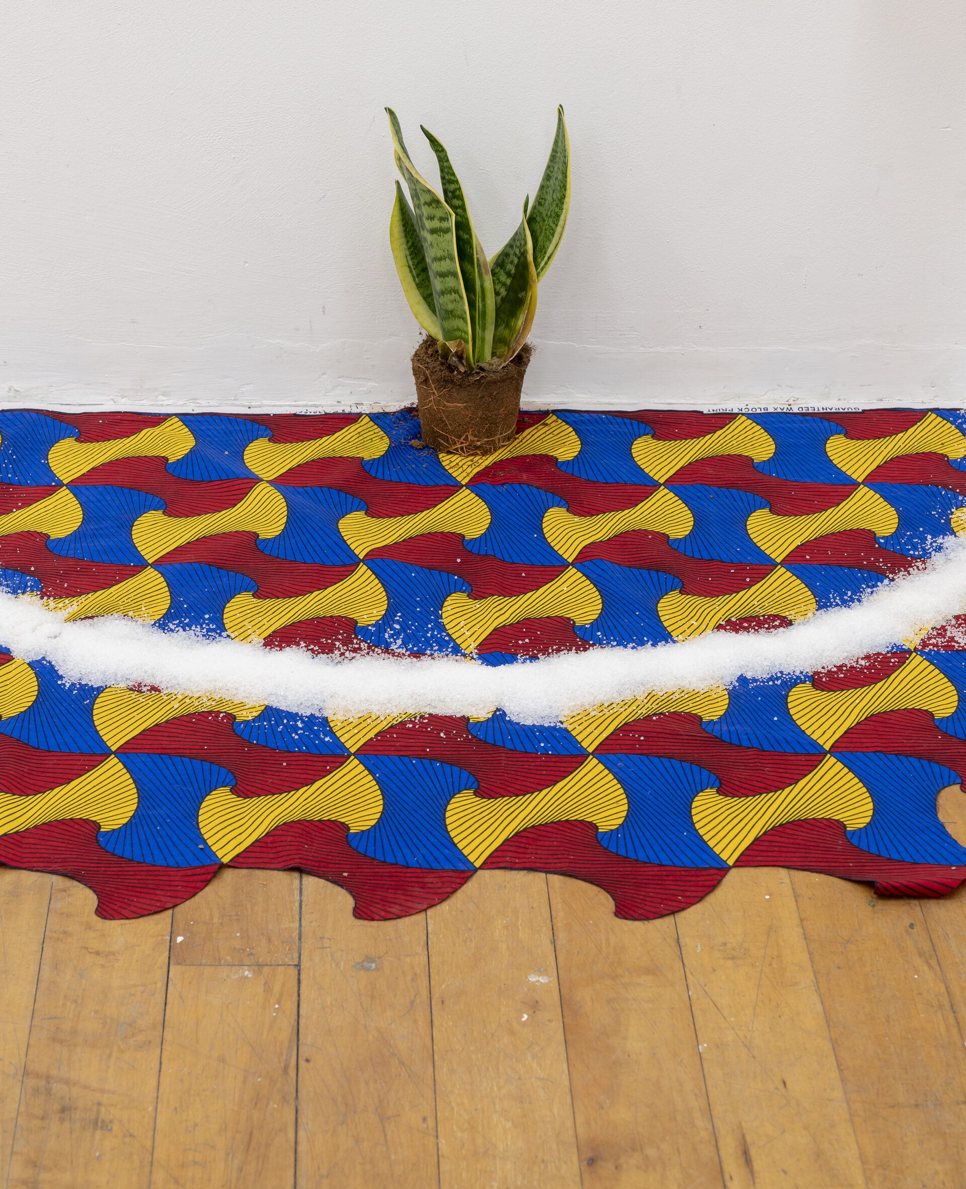 Thaís Muniz, Darling, Don't Turn Your Back on Me, 2021, installation view, Pallas Projects / Studios; photograph by Louis Haugh.