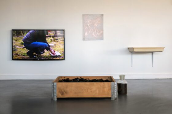 Christine Mackey, ‘Acts of Care (in-process)’, installation view, glór; photographs by Tom Flanagan, courtesy of the artist and glór.