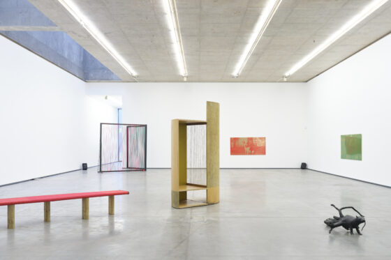 Niamh McCann, ‘someone decides, hawk or dove’, installation view; photographs by Simon Mills, images courtesy of the artist and The MAC.