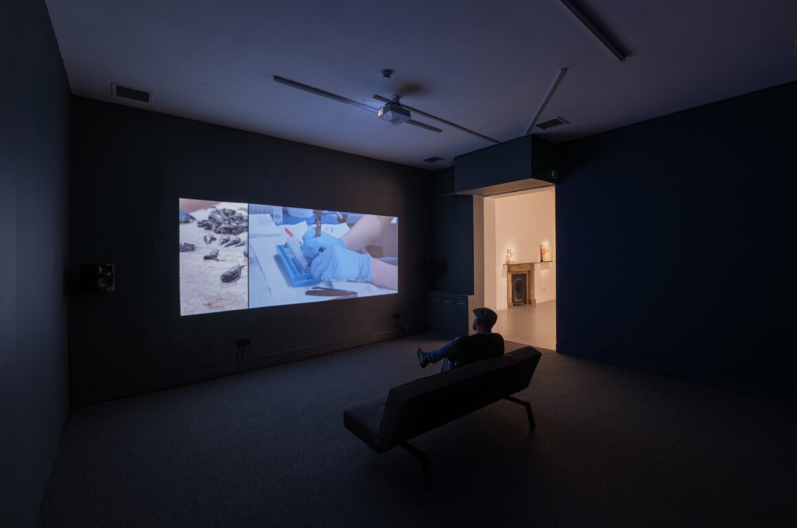 Gac Martina O’brien Draft Fissure 15