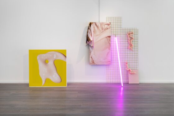 RDS Visual Art Awards | Elaine Hoey