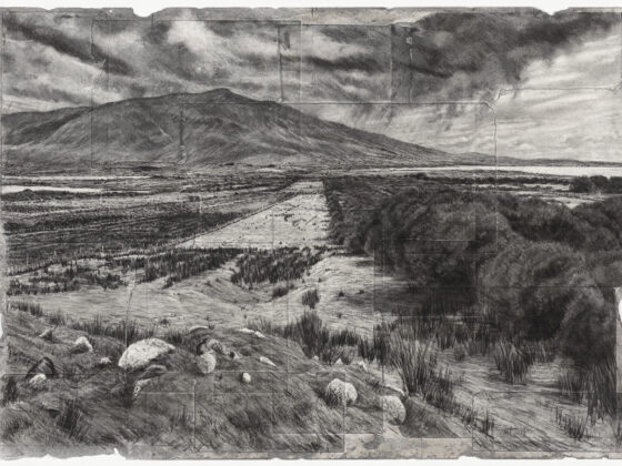 3. Michael Wann Mongrel Geometry Med