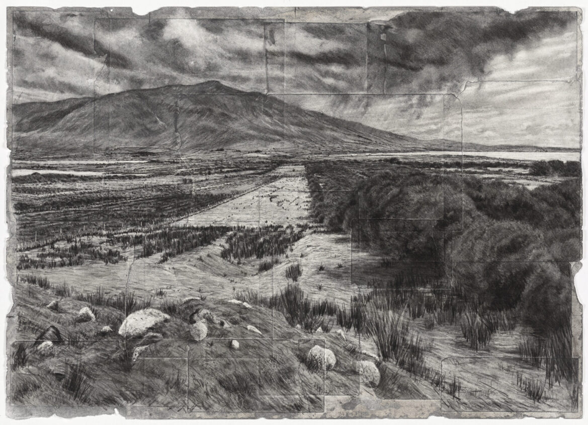 3. Michael Wann Mongrel Geometry Med