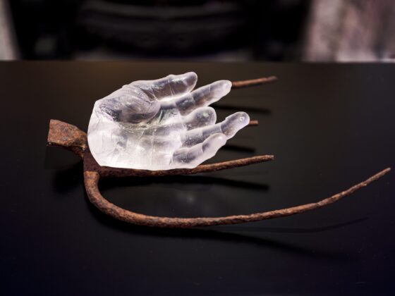 (davi Matheson/dgmphotographic.com)