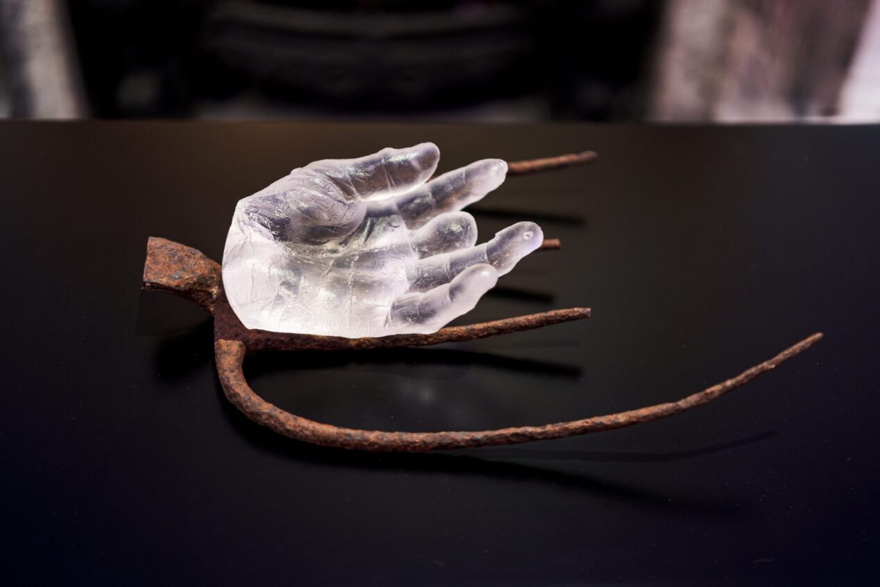 (davi Matheson/dgmphotographic.com)