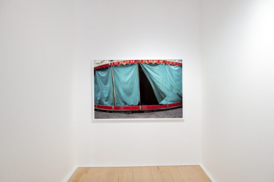 Sharon murphy install 1