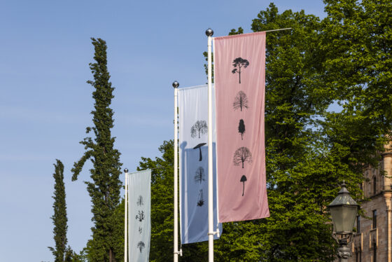 Katie holten opettelua paremmiksi rakastajiksi metsakoulu 1