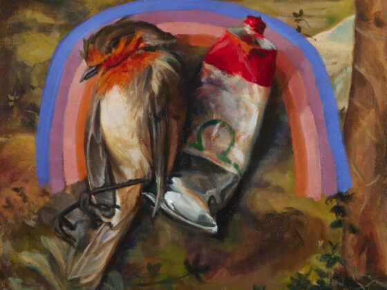 VAN Spotlight | Geraldine O’Neill, ‘Flicker, Flicker’ 