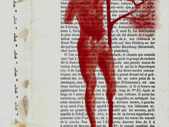 VAN Spotlight | Sharon Kelly and Pádraig MacCana, ‘Fallen Tree / Crann Leagtha’