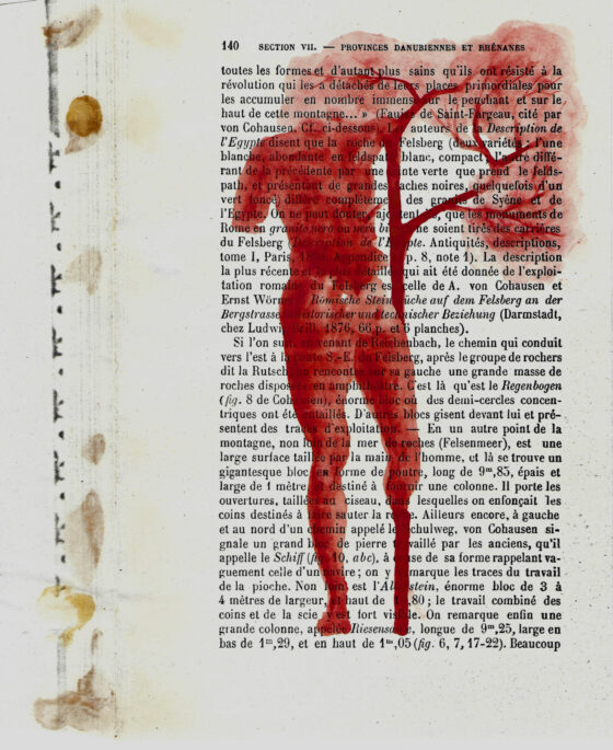 VAN Spotlight | Sharon Kelly and Pádraig MacCana, ‘Fallen Tree / Crann Leagtha’