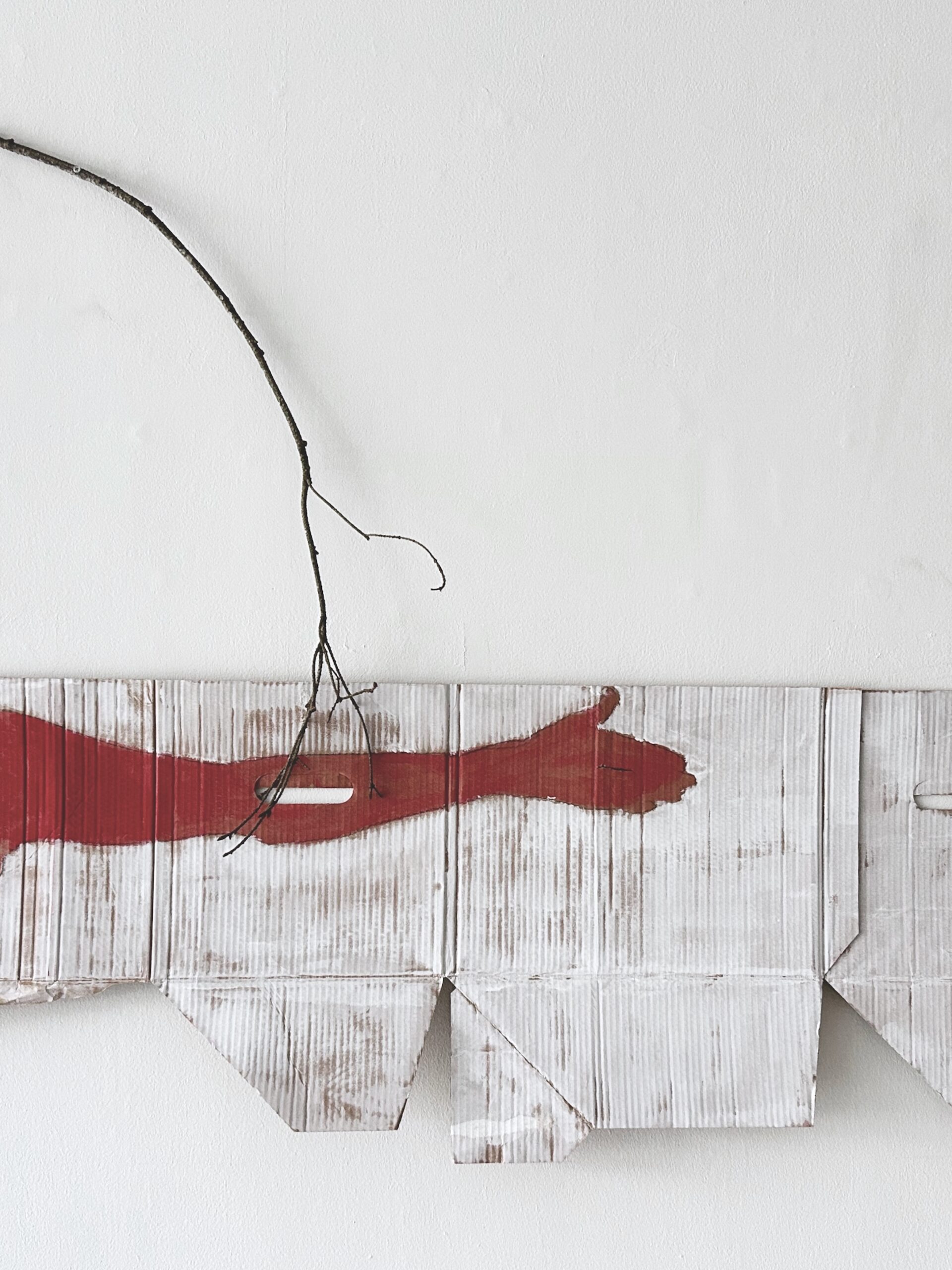 Saorthitim Sharon Kelly & Pádraig Mac Cana