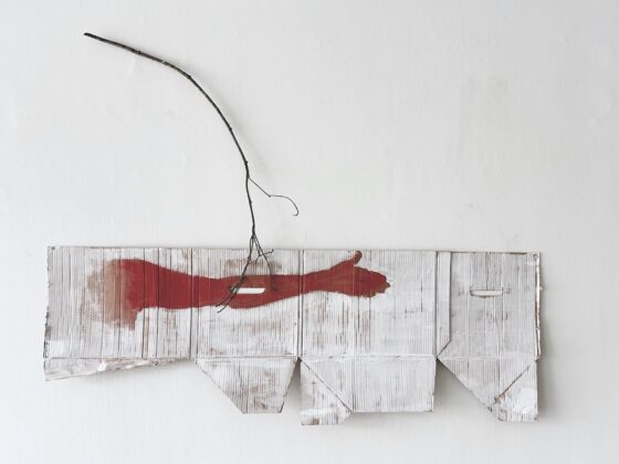 Saorthitim Sharon Kelly & Pádraig Mac Cana