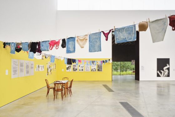 VAN Spotlight | Acts of Creation 