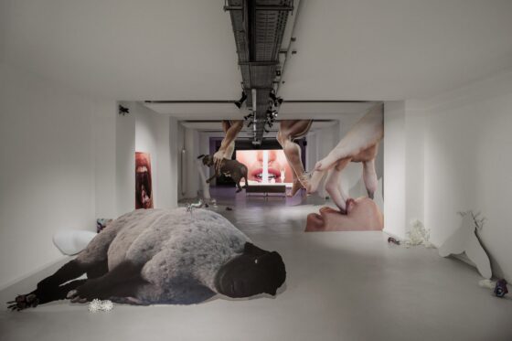 LIUC Transmediale UncensoredLilac 026 Pano