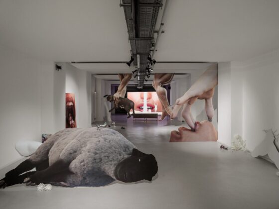 LIUC Transmediale UncensoredLilac 026 Pano