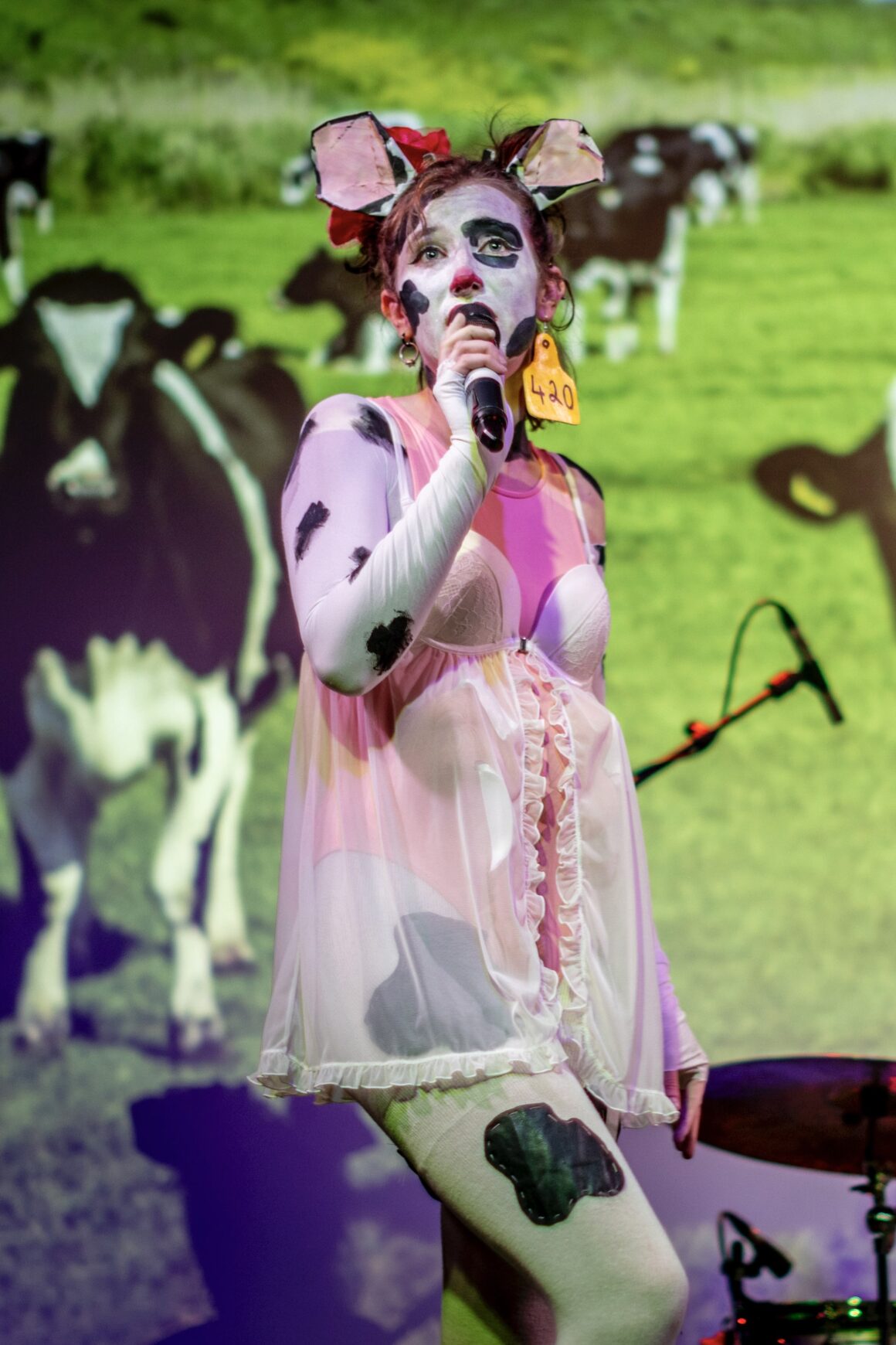 Image courtesy of Maria Cunningham