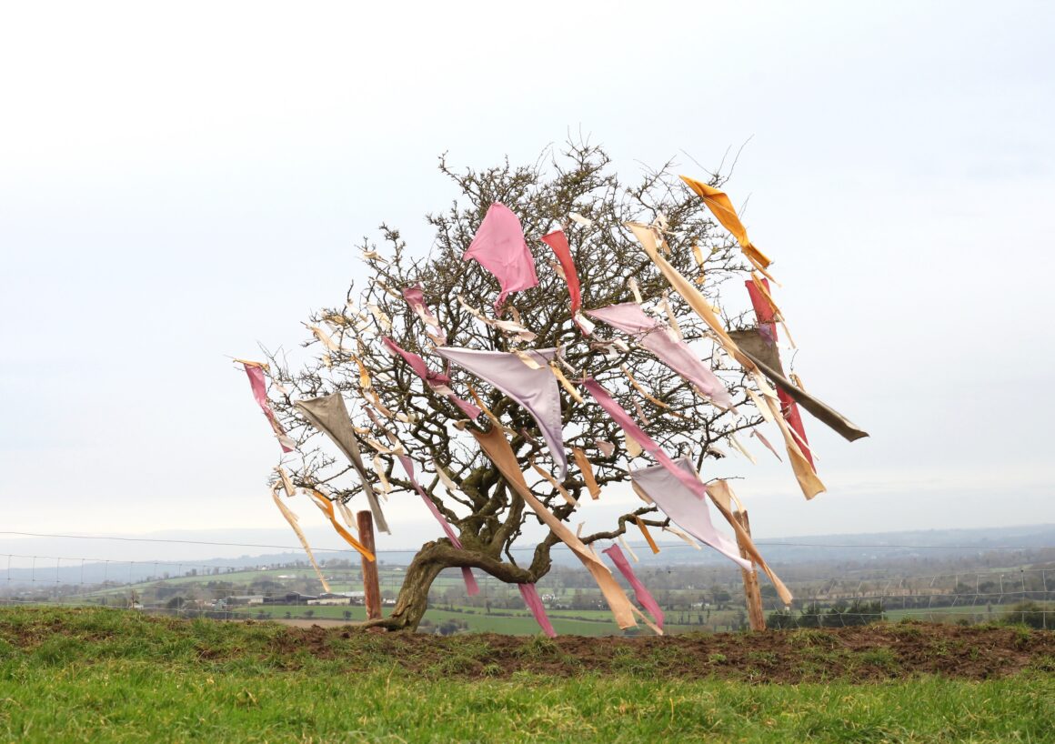 Joanna Hopkins, On The Rag Tree Day 1, 2023, plant dyed cloths on a hawthorn tree, ephemeral landscape art, photograph by Joanna Hopkins