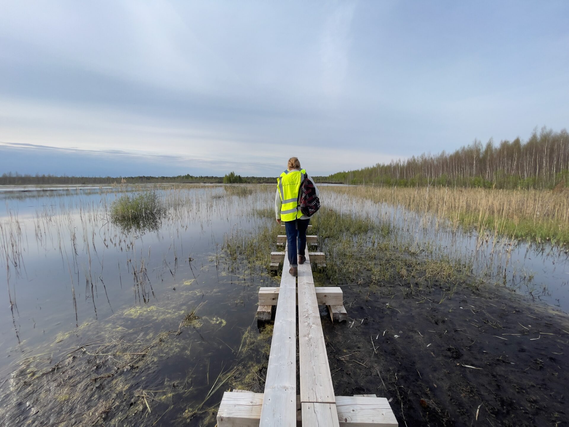 Boardwalk above the tufa-forming spring fen in Lavassaare, Estonia, May 2026; image courtesy of the artist.