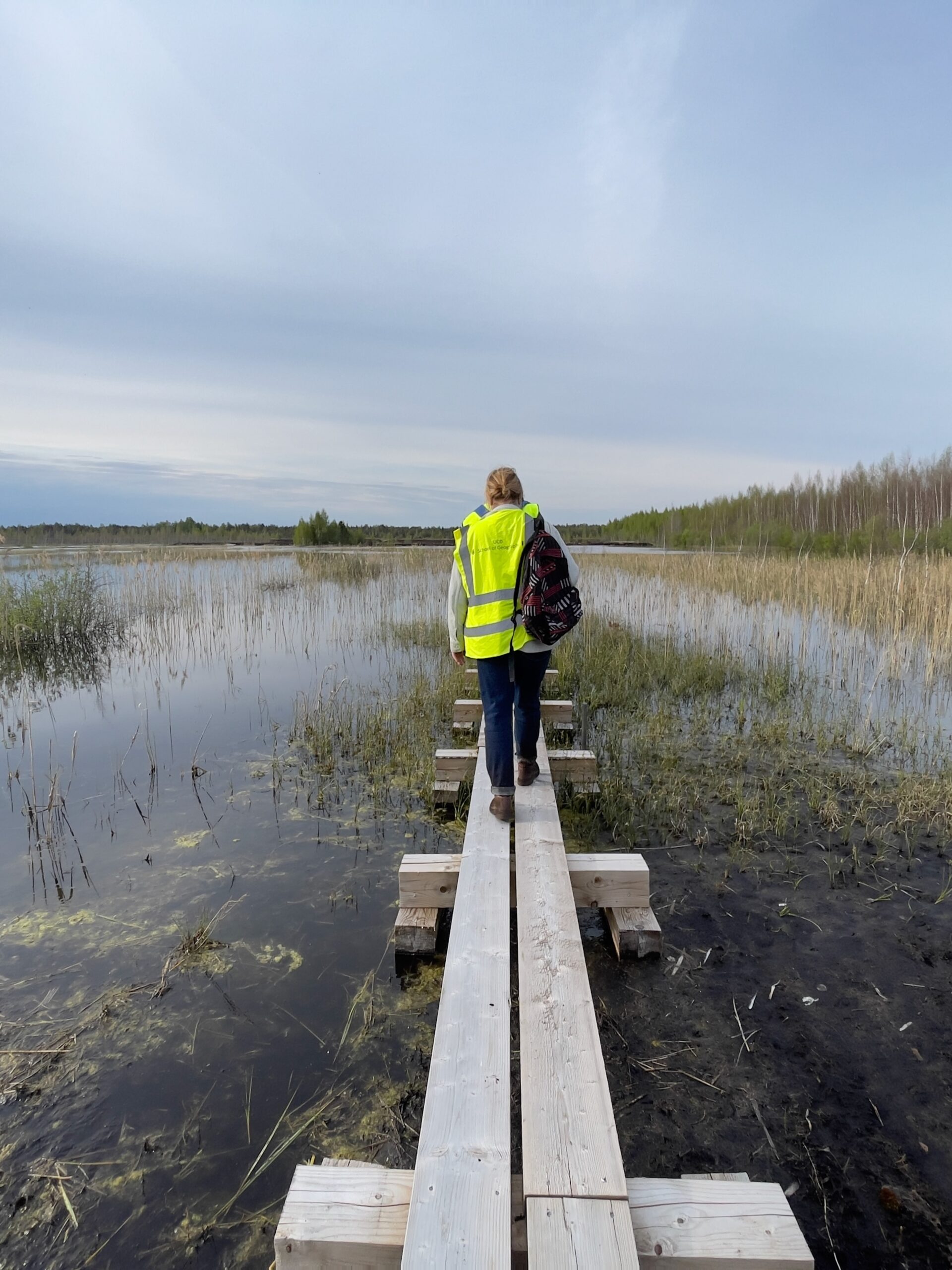 Boardwalk above the tufa-forming spring fen in Lavassaare, Estonia, May 2026; image courtesy of the artist.