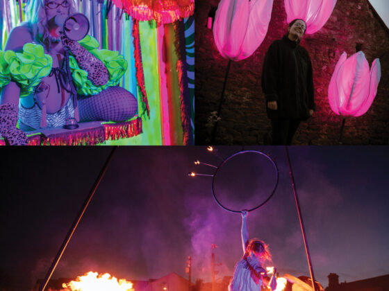 MiniVAN | Festival and Spectacle